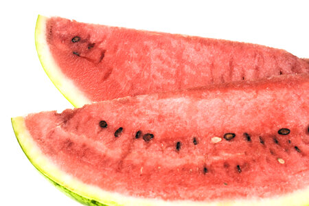 watermelon photo