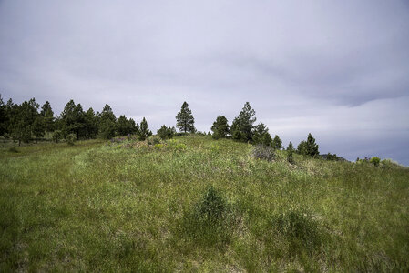 Grass and landscape on Mount Ascension in Helena photo