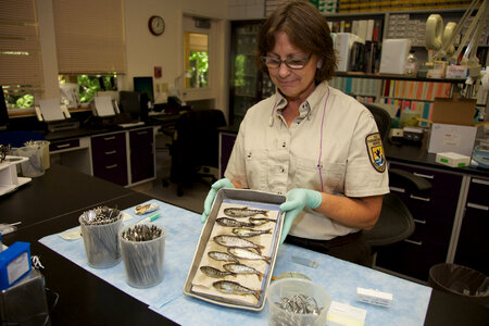 Lower Columbia River Fish Health Center scientists-2 photo