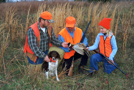 Hunting Pheasant