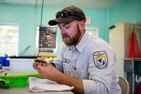 FWS biologist measures endangered Purple Cats's Paw mussel-1