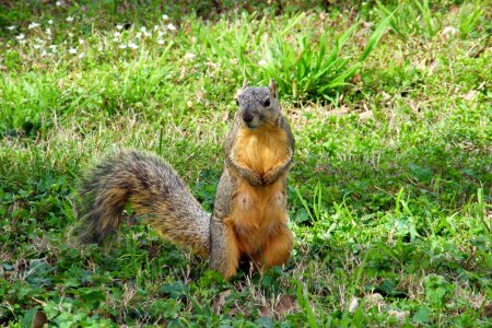 Outdoors park tail