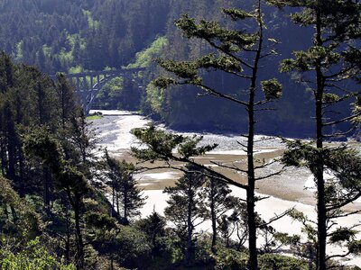 Bridge near heceta lighthouse