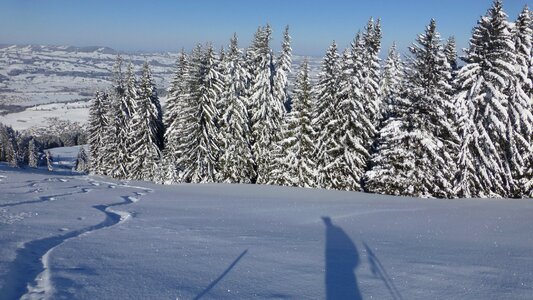 Snow sun cold