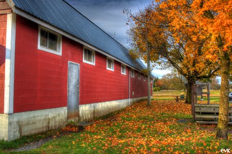 Farming outdoors countryside