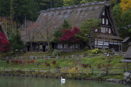 Todai-ji temple in Nara, Japan