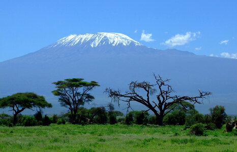 Mount Kilimanjaro landscape rising behind the trees photo