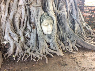 Ayutthaya Historical Park in Thailand