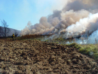 Prescribed burn at Canaan Valley National Wildlife Refuge photo