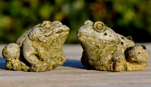 Frogs images decoration