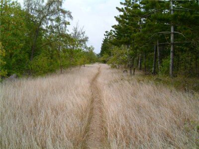 Nature travel hiking