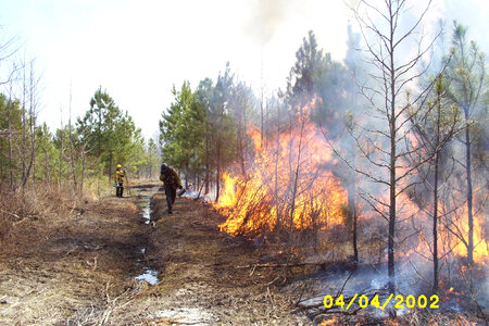 Prescribed Burn at Chesapeake Marshlands National Wildlife Refuge Complex-3 photo