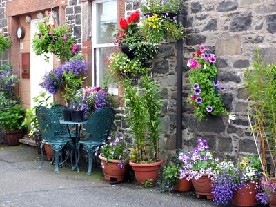 Brick stone flowers photo