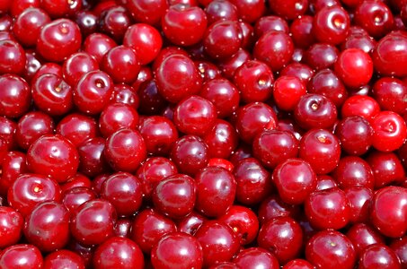 Antioxidant beautiful photo berry