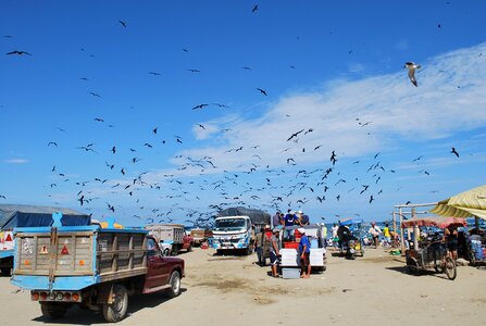 Clouds bird men