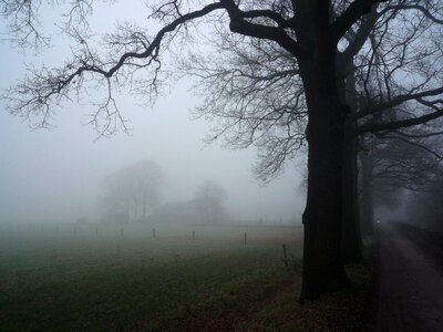 Fog mist nature photo