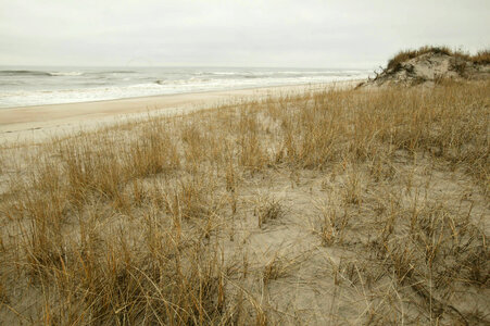 Sand dunes 