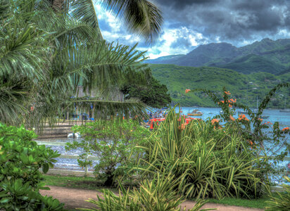 Tropical Paradise Landscape in Hawaii photo