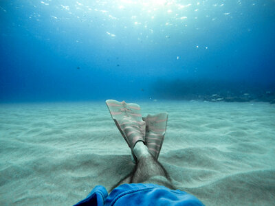 Underwater Photo of Male Legs with Fins