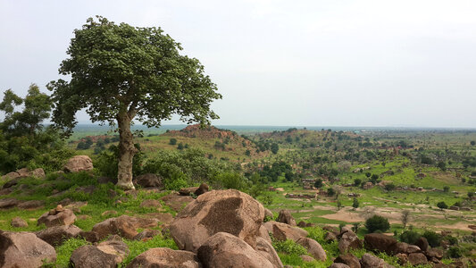 Rocks, Hills, tree, and landscape photo