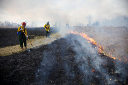 Firefighters in burn area-9