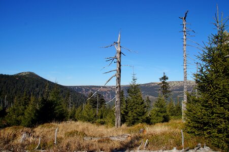 Comb mountains nature photo