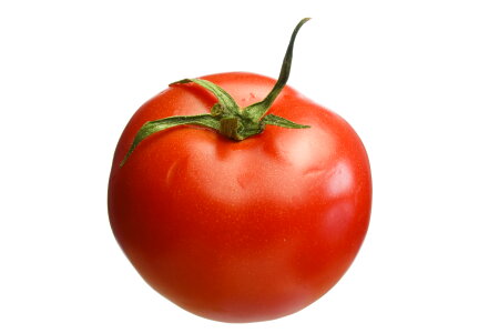 Tomato photo