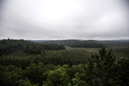 Hills and Forest landscape at Algonquin Provincial Park, Ontario photo