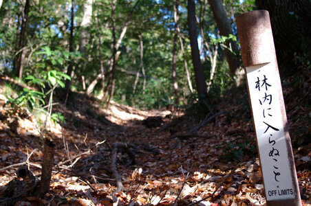 12 Meijijingu Gyoen