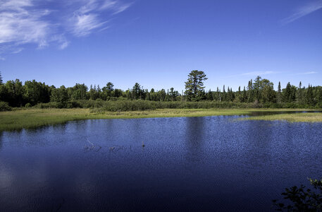 Peshekee River landscape in Van Riper State Park, Michigan photo