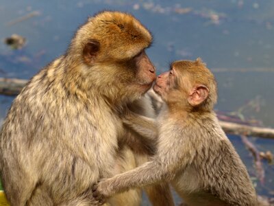 Mother and child young affection photo