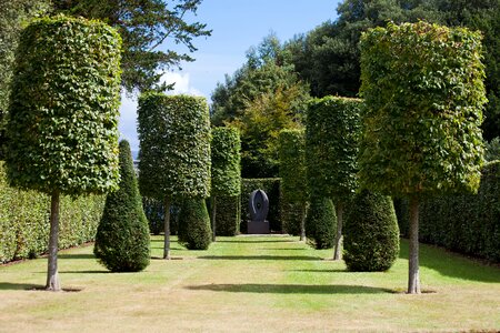 Trees trimmed cylinder