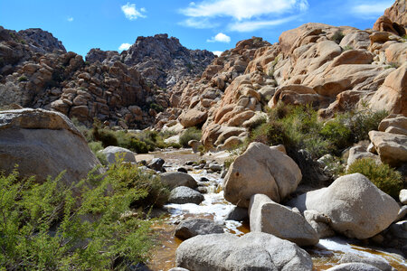 Water in Rattlesnake Canyon in Joshua Tree National Park photo