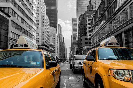 Yellow Cabs in New York City photo