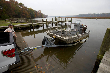 Electrofishing for Northern Snakehead-3
