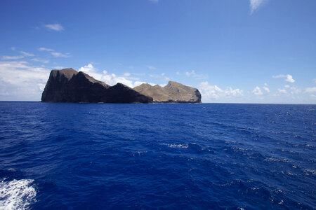 Nihoa Millerbird Translocation-2