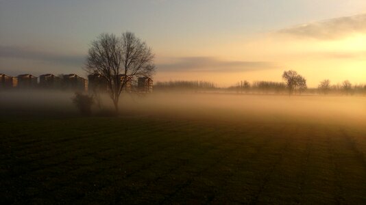 Misty landscapes woods photo