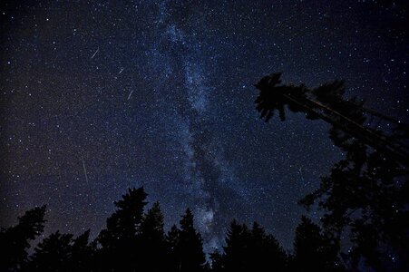 Cosmos stars nature