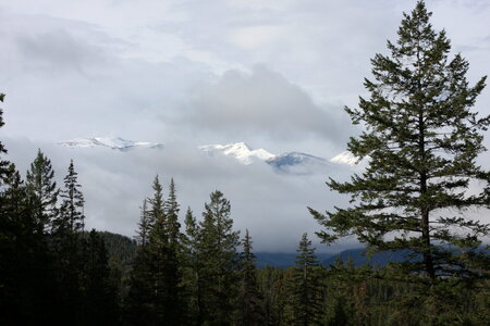 Parker Ridge Trail in the Canadian Rockies photo