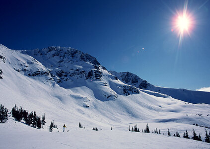 skier skiing on fresh powder snow photo