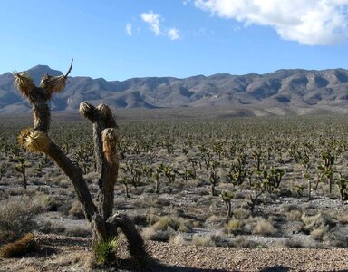 Countryside desert 