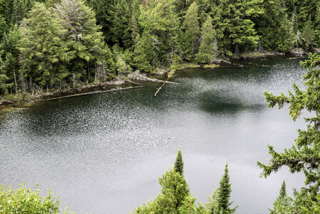 Close up of Jack Lake at Algonquin Provincial Park, Ontario photo
