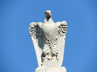 Bust eagle sculpture photo