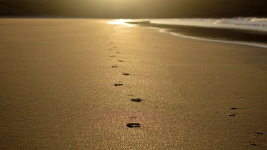 Footprints in the sand at sunset photo