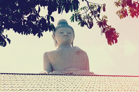 Temple buddhism buddha