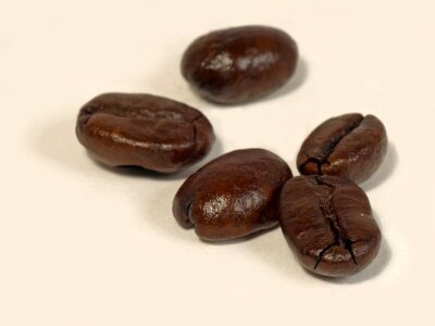 Caffeine bean beans photo