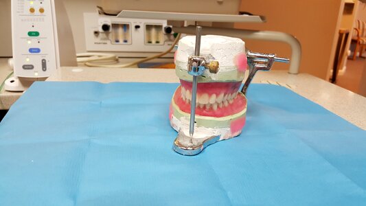 Teeth medical dental care photo
