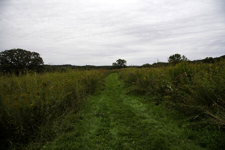 Grassy Trail landscape under cloudy skies photo