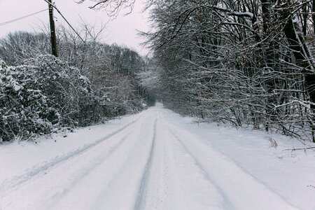 Snowy Road photo
