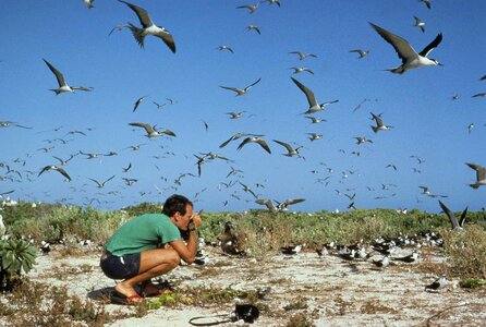 Bird flock husband photo